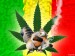 marihuana